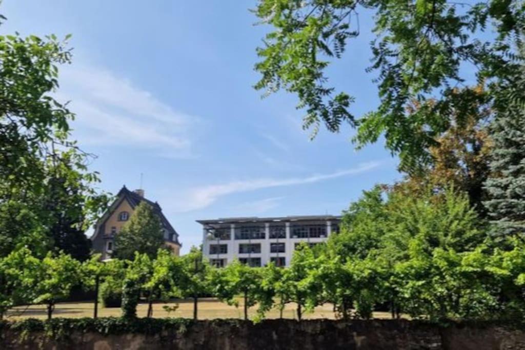 Wohnwerk: Penthouse - Moselblick Apartamento Traben-Trarbach Exterior foto